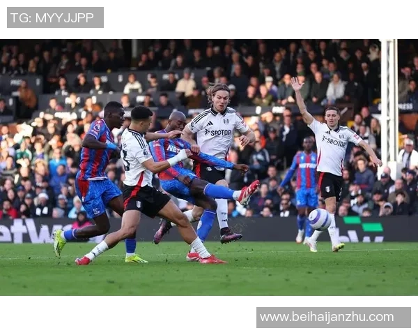 伯恩茅斯对阵狼队分析与预测160期佬牛解盘全解析
